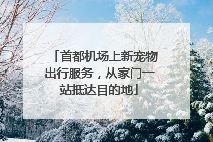首都机场上新宠物出行服务，从家门一站抵达目的地