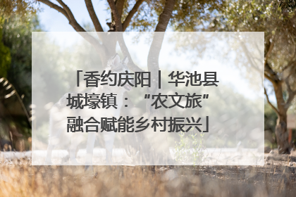 香约庆阳｜华池县城壕镇：“农文旅”融合赋能乡村振兴