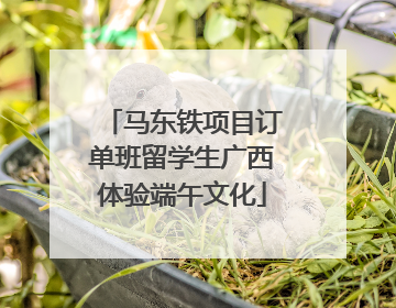 马东铁项目订单班留学生广西体验端午文化