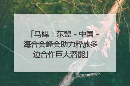 马媒：东盟－中国－海合会峰会助力释放多边合作巨大潜能
