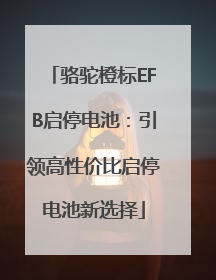骆驼橙标EFB启停电池：引领高性价比启停电池新选择