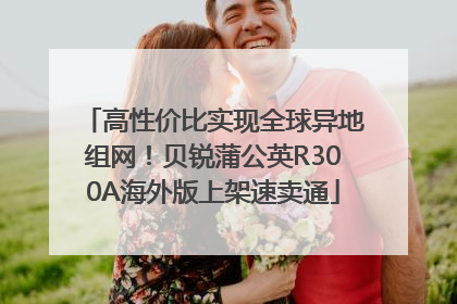 高性价比实现全球异地组网！贝锐蒲公英R300A海外版上架速卖通