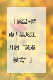 高温+降雨！黑龙江开启“蒸煮模式”
