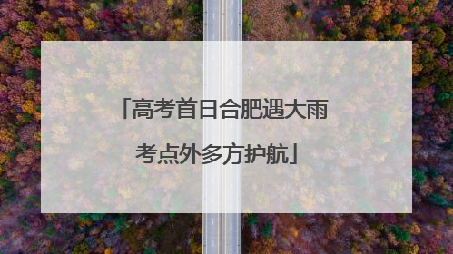 高考首日合肥遇大雨 考点外多方护航