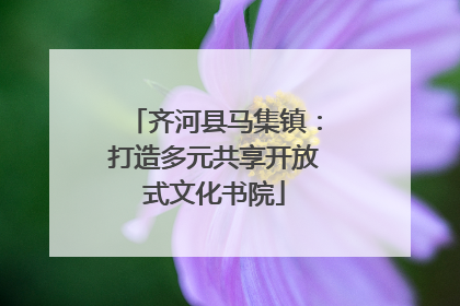 齐河县马集镇：打造多元共享开放式文化书院