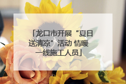 龙口市开展“夏日送清凉”活动 情暖一线施工人员