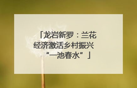 龙岩新罗：兰花经济激活乡村振兴“一池春水”