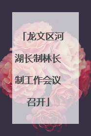 龙文区河湖长制林长制工作会议召开