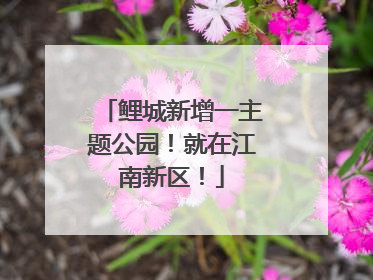 鲤城新增一主题公园！就在江南新区！
