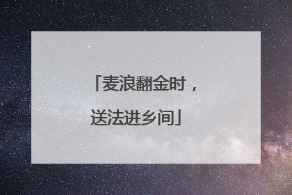 麦浪翻金时，送法进乡间