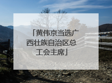 黄伟京当选广西壮族自治区总工会主席