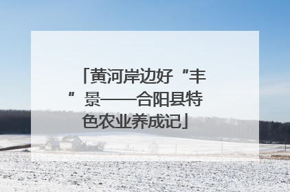 黄河岸边好“丰”景——合阳县特色农业养成记
