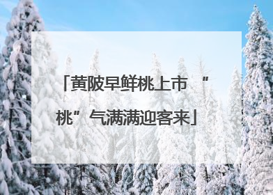 黄陂早鲜桃上市 “桃”气满满迎客来