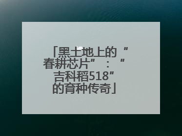 黑土地上的“春耕芯片”：“吉科稻518”的育种传奇