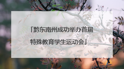 黔东南州成功举办首届特殊教育学生运动会