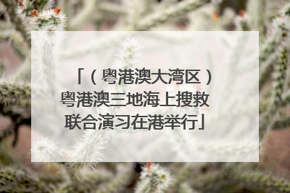 （粤港澳大湾区）粤港澳三地海上搜救联合演习在港举行