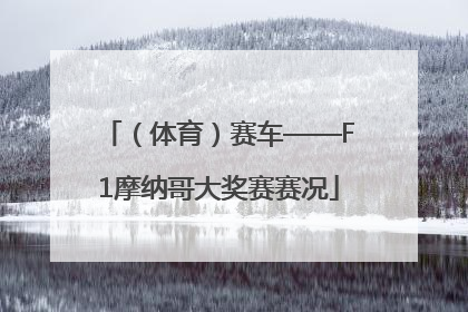 （体育）赛车——F1摩纳哥大奖赛赛况