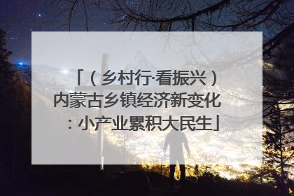 （乡村行·看振兴）内蒙古乡镇经济新变化：小产业累积大民生