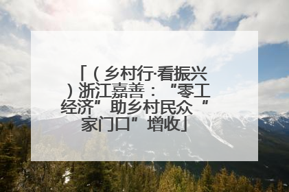 （乡村行·看振兴）浙江嘉善：“零工经济”助乡村民众“家门口”增收