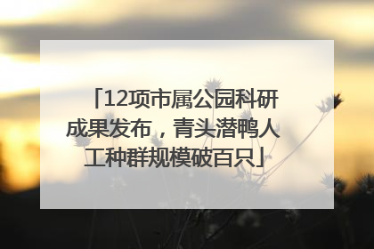 12项市属公园科研成果发布，青头潜鸭人工种群规模破百只