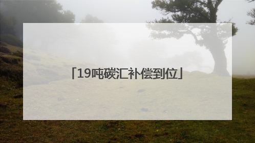 19吨碳汇补偿到位