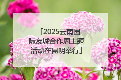 2025云南国际友城合作周主题活动在昆明举行