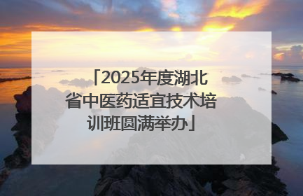 2025年度湖北省中医药适宜技术培训班圆满举办
