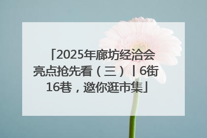 2025年廊坊经洽会亮点抢先看（三）丨6街16巷，邀你逛市集