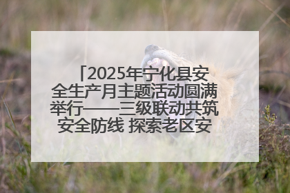2025年宁化县安全生产月主题活动圆满举行——三级联动共筑安全防线 探索老区安全发展新路径