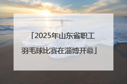 2025年山东省职工羽毛球比赛在淄博开幕