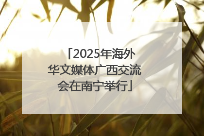 2025年海外华文媒体广西交流会在南宁举行