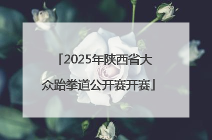 2025年陕西省大众跆拳道公开赛开赛