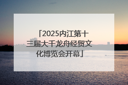 2025内江第十三届大千龙舟经贸文化博览会开幕