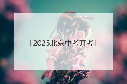 2025北京中考开考