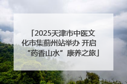 2025天津市中医文化市集蓟州站举办 开启“药香山水”康养之旅