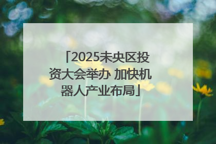 2025未央区投资大会举办 加快机器人产业布局