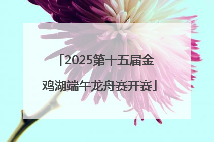 2025第十五届金鸡湖端午龙舟赛开赛
