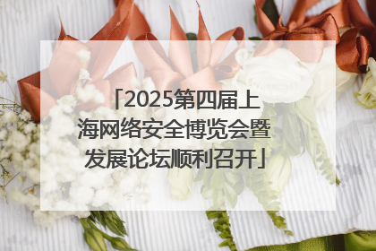 2025第四届上海网络安全博览会暨发展论坛顺利召开