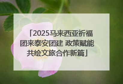 2025马来西亚祈福团来泰安团建 政策赋能共绘文旅合作新篇