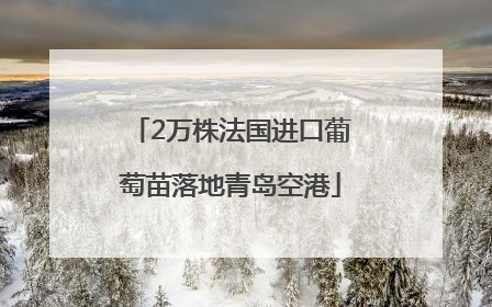 2万株法国进口葡萄苗落地青岛空港