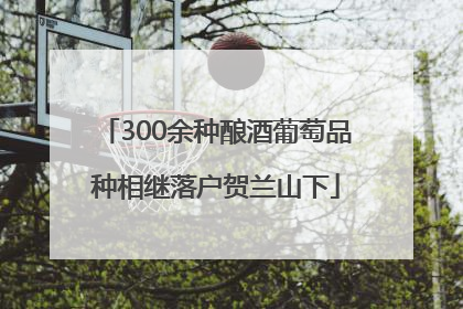300余种酿酒葡萄品种相继落户贺兰山下