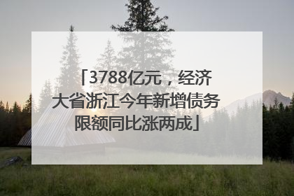 3788亿元，经济大省浙江今年新增债务限额同比涨两成