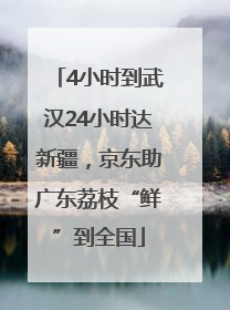 4小时到武汉24小时达新疆，京东助广东荔枝“鲜”到全国