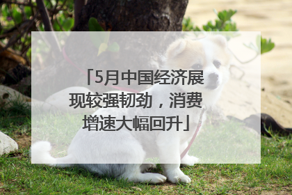 5月中国经济展现较强韧劲，消费增速大幅回升