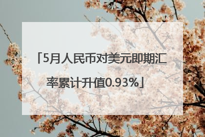 5月人民币对美元即期汇率累计升值0.93%