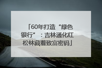 60年打造“绿色银行”：吉林通化红松林藏着致富密码