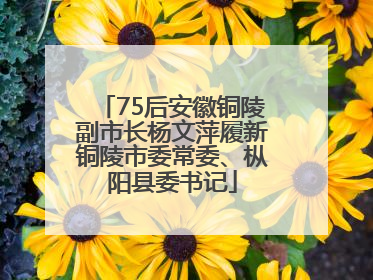 75后安徽铜陵副市长杨文萍履新铜陵市委常委、枞阳县委书记