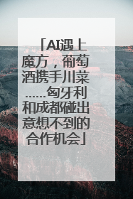 AI遇上魔方，葡萄酒携手川菜……匈牙利和成都碰出意想不到的合作机会