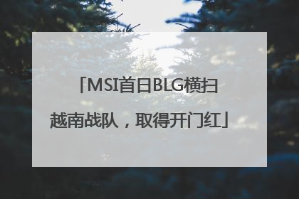 MSI首日BLG横扫越南战队，取得开门红