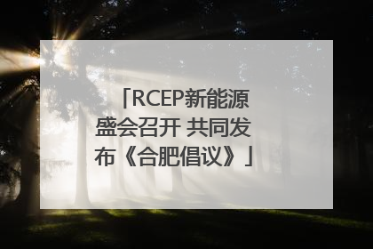 RCEP新能源盛会召开 共同发布《合肥倡议》